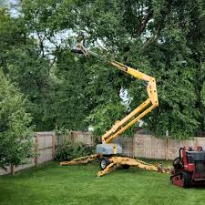 Best Lawn Maintenance Plans  in Washington Park, FL